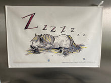 Load image into Gallery viewer, Large Tea Towel. Shetland pony fast asleep in straw. Perfect for the pony lovers in your life! Too nice to dry dishes with.