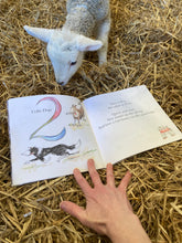 Load image into Gallery viewer, BEST SELLER!  Farm Numbers with Robin