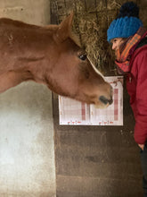 Load image into Gallery viewer, Britt and her horse Bella looking at the 2026 Year Planner. 
