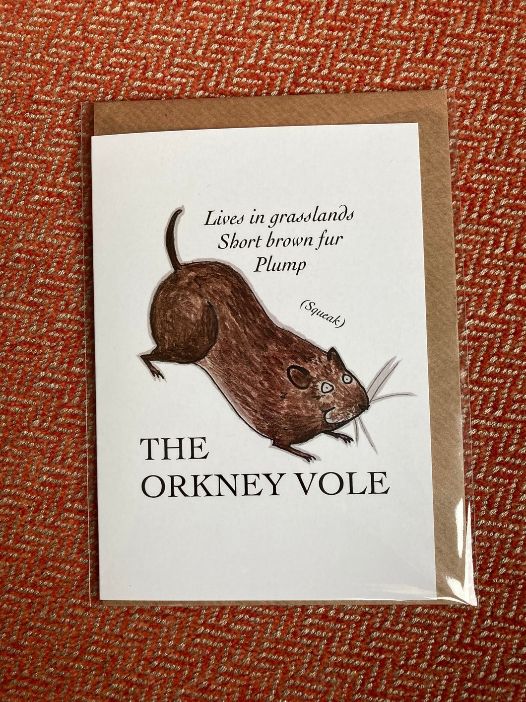 The Orkney Vole, A6 sized card, illustrated by Britt Harcus for the Stromness Museum.  Blank inside for your own message or note. Enjoy!
