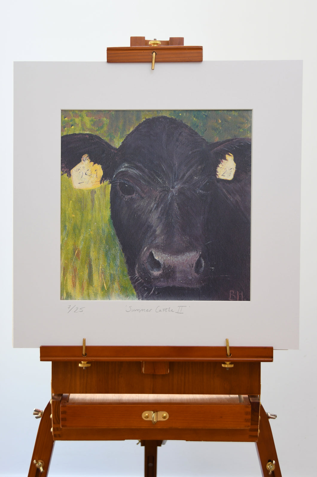 Summer Cattle II - Limited Edition Print