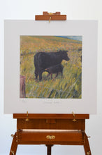 Load image into Gallery viewer, Taken from an Original acrylic painting on canvas, this print depicts a summery scene at the family farm. The Aberdeen Angus cow with newborn calf at foot, vivid green grass and buttercups blowing in the Orkney wind.  Dimensions of print are 31cm x 31cm.

