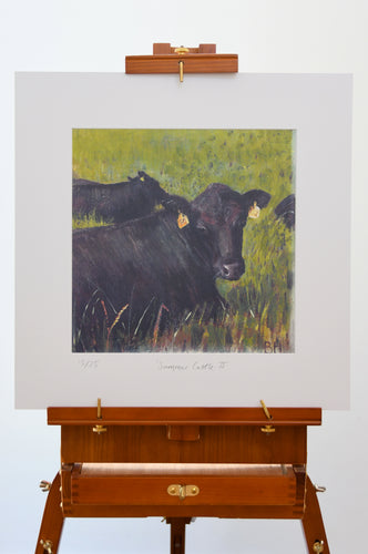 Summer Cattle are a three-part series by Britt.  This is the third print taken from the Original painting done at Britt's family farm, Quanterness.   Collect all three Aberdeen Angus' for the full impact of these stunning cattle.