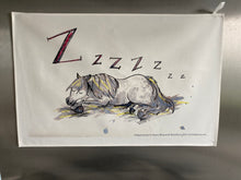 Load image into Gallery viewer, Large Tea Towel. Shetland pony fast asleep in straw. Perfect for the pony lovers in your life! Too nice to dry dishes with. 
